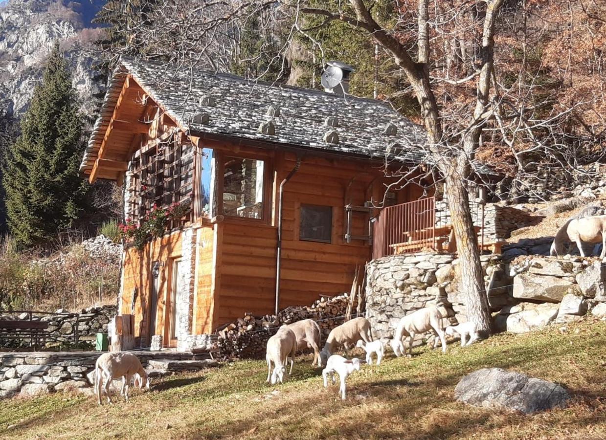 Baita Del Noce Mollia Dış mekan fotoğraf