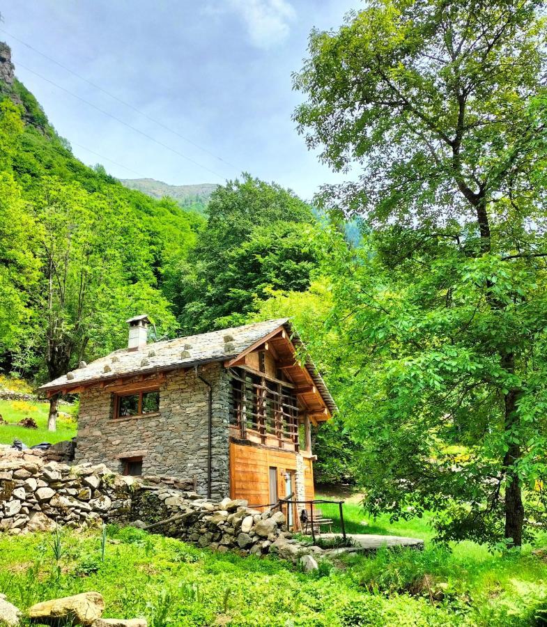 Baita Del Noce Mollia Dış mekan fotoğraf