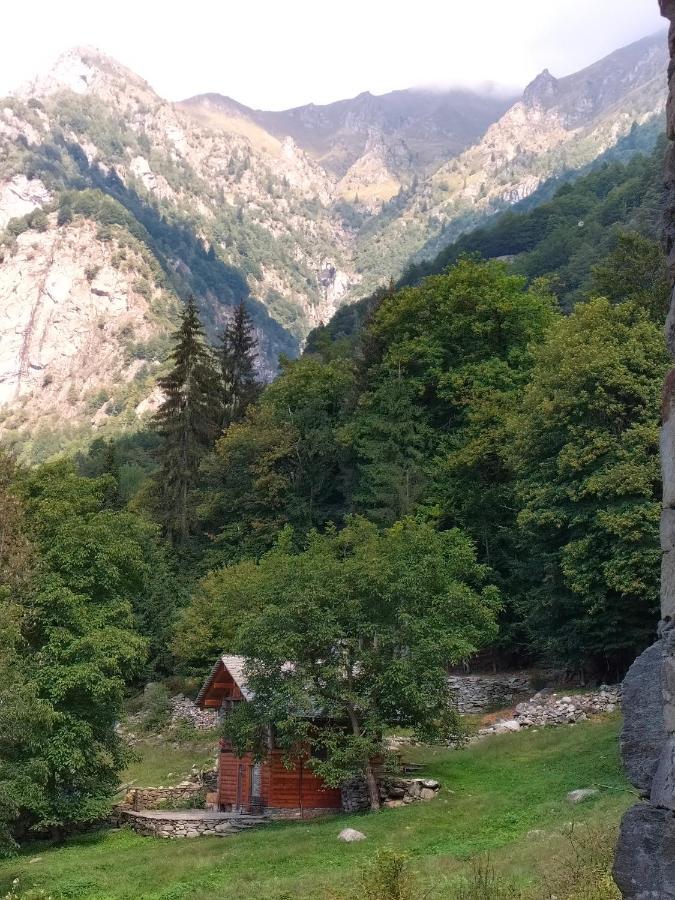 Baita Del Noce Mollia Dış mekan fotoğraf