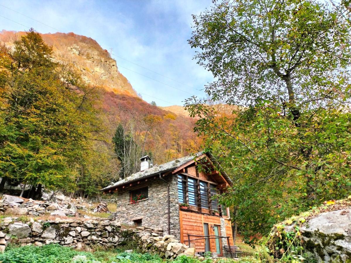 Baita Del Noce Mollia Dış mekan fotoğraf